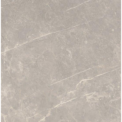 SAMPLE Ceralto Statuva Marble Carreau de sol - 60x60cm - 9.0mm - rectifié - Grey dolomia