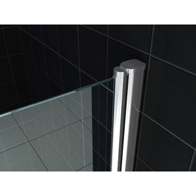 Wiesbaden Between Porte de niche 1000 x 2000 x 8 mm verre clair nano chrome