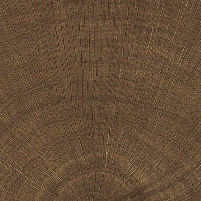 Vtwonen Carrelage Woodcirkle Carreau de sol - 10x10cm - 9.5mm - Wengé