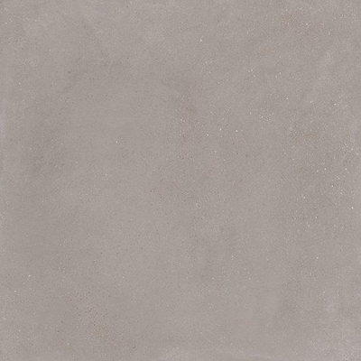 Ceralto Ivarno Core Vloertegel - 120X120 - 6.5mm - mat - zilver