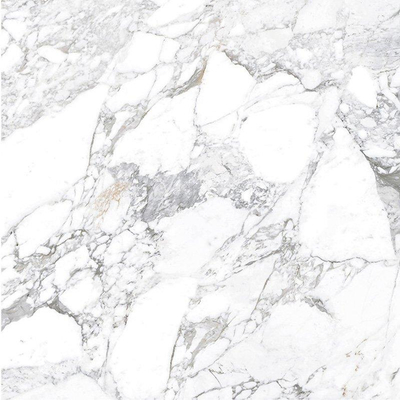 Terravito Covella wand- en vloertegel - 120x120cm - 9mm - gerectificeerd - Grijs
