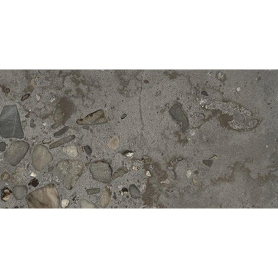 Ceralto Elaris Oak Carreau de sol - 30x60cm - 9.0mm - rectifié - Sassi anthracite p
