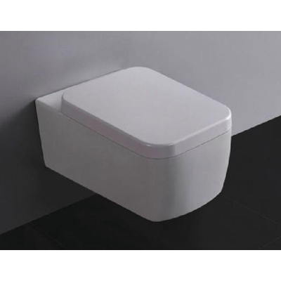 Xellanz Larx WC suspendu à fond creux avec abattant softclose et quick release blanc