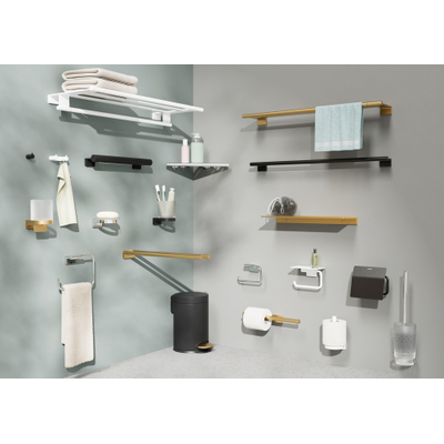 Hansgrohe AddStoris S closetrolhouder met planchet mw