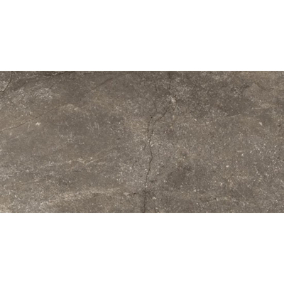 Douglas jones Marbles Vloertegel 300X600 Wells Moka 9,5mm Glans Ret.