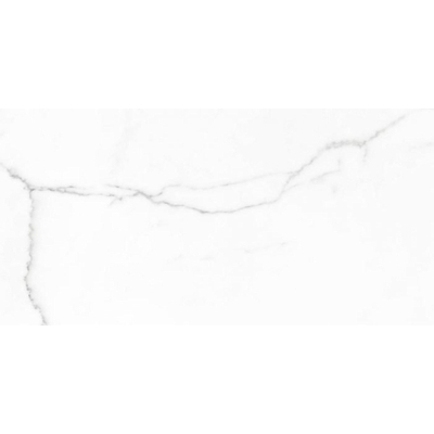 Terravito Alpuro carreau mural et de sol - 30x60cm - 9mm - Rectangulaire - rectifié - effet marbre - blanc/noir mat