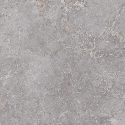 ÉCHANTILLON Edimax Astor Golden Age Carrelage de sol et de mur Rectifié Aspect Marbre Mat Gris
