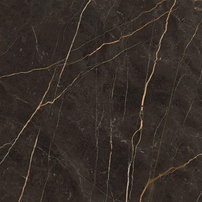 ÉCHANTILLON Terravito Dapuro carreau mural et de sol - 120x120cm - rectifié - aspect pierre naturelle - Laurent polished poli (anthracite)