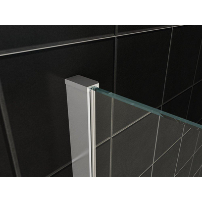 Wiesbaden Vaz porte de niche avec partie fixe 1100 x 2000 x 8 mm verre clair nano/chrome