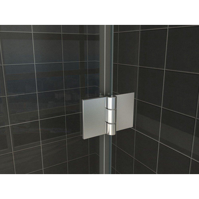 Wiesbaden Vaz Porte de niche avec partie fixe 1000 x 2000 x 8 mm verre clair nano/chrome