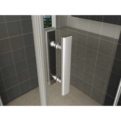 Xellanz Cerra eco nisdeur 800 x 1950 x 6 mm helder glas/chroom