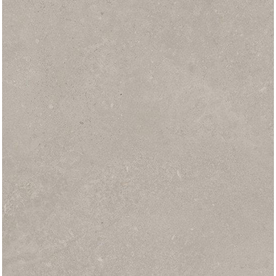 SAMPLE Ceralto Statuva Marble Vloertegel - 60x60cm - 9.0mm - gerectificeerd - Grey limestone