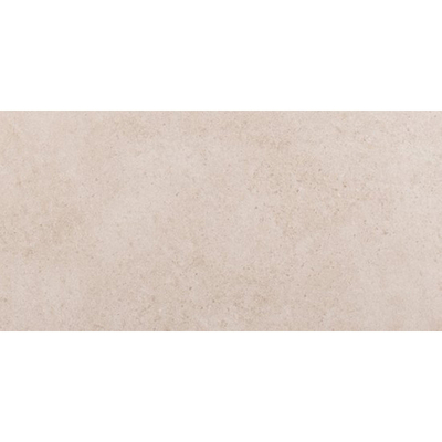 ÉCHANTILLON Ceralto Orsini Studio Carreau de sol - 30x60cm - 8.5mm - gris clair