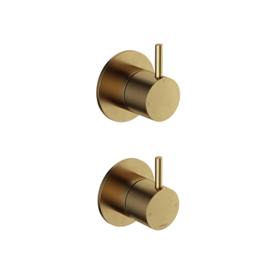 Hotbath Cobber Afbouwdeel - 2-weg omstel - Living colours - geborsteld messing goud