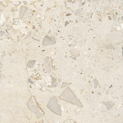 Ceralto Elaris Oak Carreau de sol - 60x60cm - 9.0mm - rectifié - Sassi beige p