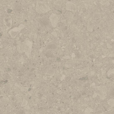 Ceralto Ravina Slate Carrelage de sol - 60x60cm - 9.0mm - rectifié - Earth