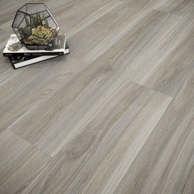 SAMPLE Baldocer Cerámica Barkley Ceniza rectifié Carrelage sol et mur Aspect bois Mat Gris