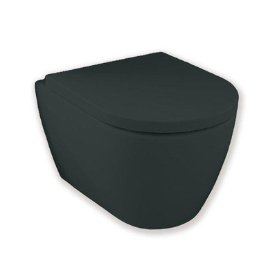 Royal Plaza Primo WC suspendu - 48.5cm - sans bride - racourci - avec abattant softclose - déclipsable - tableau noir