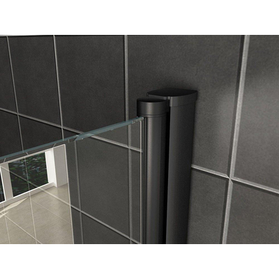 Wiesbaden Salone cabine avec 2 portes battantes 900 x 900 x 2000 x 8 mm verre clair nano/noir mat