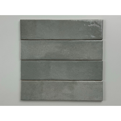 ÉCHANTILLON Terravito Mellina Carrelage mural en céramique - 6x24,6cm - 8mm - Gris