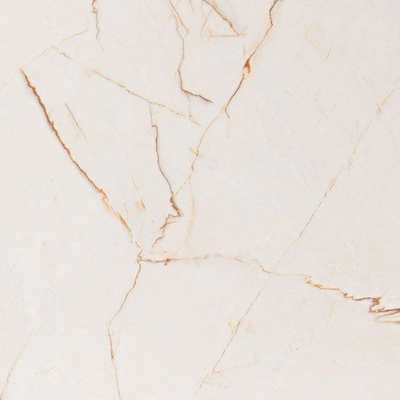 SAMPLE Vtwonen tegels Classic 100233 Vloertegel 600X600 Caramel 10mm Mat Ret.R9