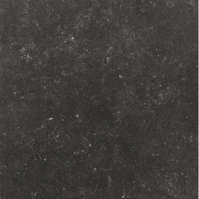 Douglas Jones Elemental Vloer- en wandtegel 60x60cm 10mm gerectificeerd R10 porcellanato Mystere