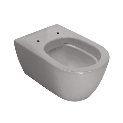 Royal Plaza Primo Toiletset - 35x54cm - hangend - spoelrandloos - diepspoel - met zitting - softclose - quick release - cement