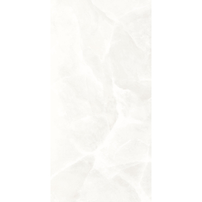 ÉCHANTILLON Terravito Davella Carrelage de sol et de mur - 60x120cm - rectifié - brillant Blanc
