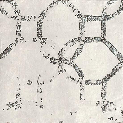 Zyx amazonia carrelage sol et mur avec décor 14x14cm 9mm rectifié r9 porcellanato blanc cassé