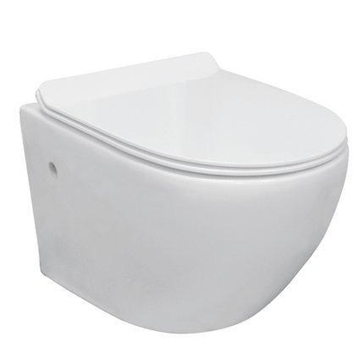 Nemo Go Aquaflow WC suspendu Pack porcelaine sans bride avec abattant fin frein de chute et déclipsable en duroplast blanc 50x36x37cm kit d'isolation et bâti-support avec réservoir UP100 et plaque Delta21