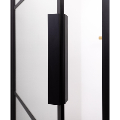 Riho Grid Porte pivotante 80x200cm profilé noir et verre clair