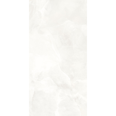 ÉCHANTILLON Terravito Davella Carrelage de sol et de mur - 60x120cm - rectifié - brillant Blanc