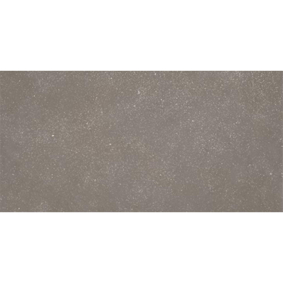 Ceralto Ivarno Core Vloertegel - 60X120 - 6.5mm - mat - grijs