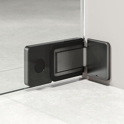 Sealskin Pure Nisdeur - 90x200cm - helder glas - 8mm - antikalklaag - gunmetal