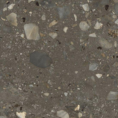 Ceralto Elaris Oak Carrelage de sol - 90x90cm - 9.0mm - rectifié - Sassi anthracite p