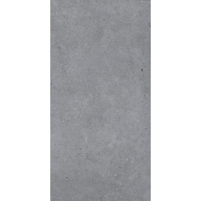 ÉCHANTILLON Terravito Cosano Carrelage de sol et de mur - 30x60cm - rectifié - gris foncé mat