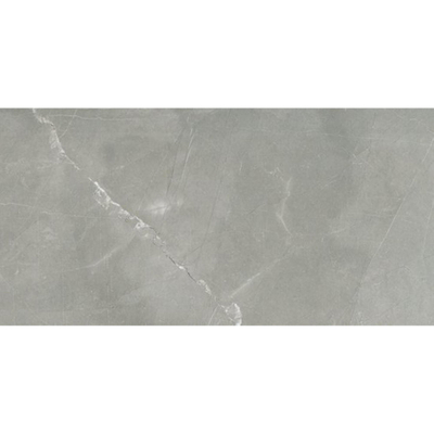 Ceralto Valerio Mini Carrelage de sol - 29.7x59.7cm - 9.0mm - rectifié - gris