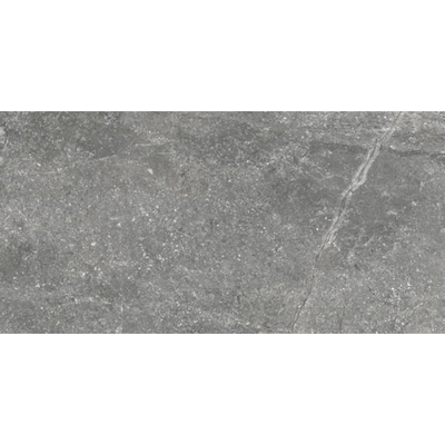 Douglas jones Marbles Carrelage de sol 300X600 Wells Ash 9,5mm Brillant Rectifié