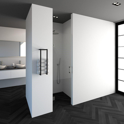 BRAUER Create Porte de douche 60x200cm sans profilé avec verre de sécurité anticalcaire 8mm Inox brossé
