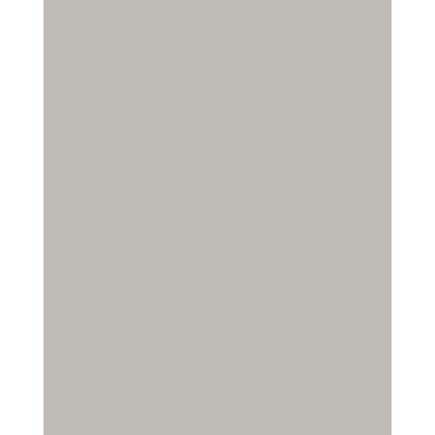 Mosa Holland 2050 Carreau mural 20x25cm 7.4mm biscuit blanc Gris