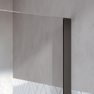 BRAUER Stellar Cabine de douche - 120x90x200cm - porte battante - revêtement verre - réversible - verre clair - PVD gunmetal brossé