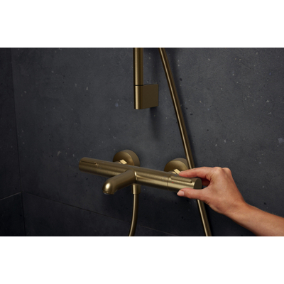 Hansgrohe Ecostat Element opbouw badthermostaat Brushed Bronze