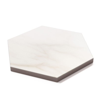 ÉCHANTILLON Terravito Tovaro carreau mural et de sol - 15x17cm - 9mm - Hexagone - Aspect marbre - Blanc mat