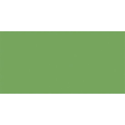 Rako Color One Wandtegel - 19.8x39.8cm - 7.0mm - Green