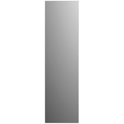 Plieger Fitline 3mm passpiegel 105x30cm zilver
