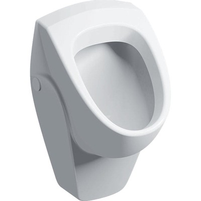 Geberit 300 Urinals 300 urinoir - 40 - met achterinlaat - 36x37cm - wit