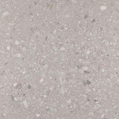 SAMPLE Ceralto Elaris Rock Carreau de sol et mural 60x60cm 10mm rectifié R10 grès cérame Grigio