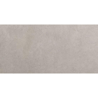 Vtwonen Tegels Raw Vloertegel - 60x120cm - 9.5mm - gerectificeerd - Grey