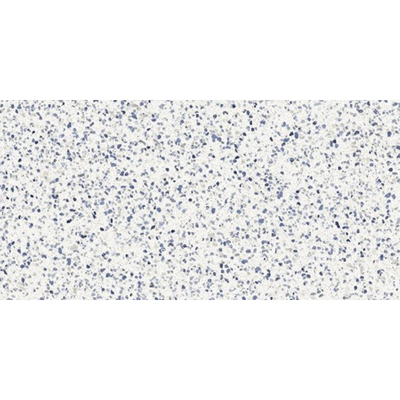 Marazzi Frammento Carreau de sol - 60x120cm - 9.0mm - rectifié - Azzuro