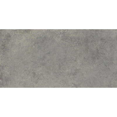 ÉCHANTILLON Terravito Sigillo carreau mural et de sol - 59.5x119.5cm - 8mm - rectifié - Aspect béton - Gris